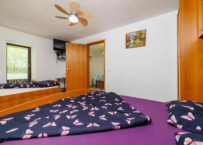 Jug Apartamento *